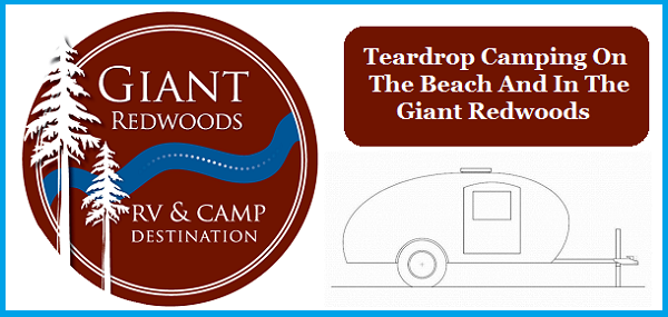 teardrop camping - giant redwoods